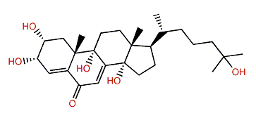 Hyousterone C